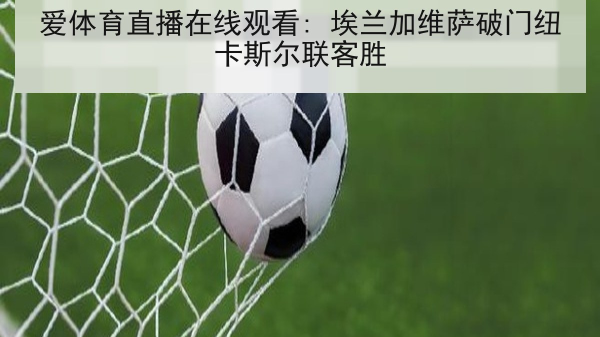 爱体育直播在线观看: 埃兰加维萨破门纽卡斯尔联客胜